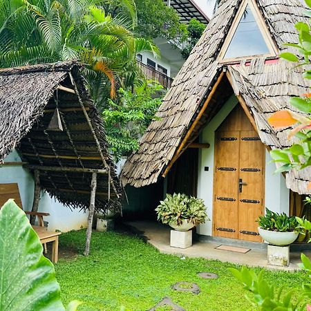 טנגלה Turtle Wood Cabin מראה חיצוני תמונה