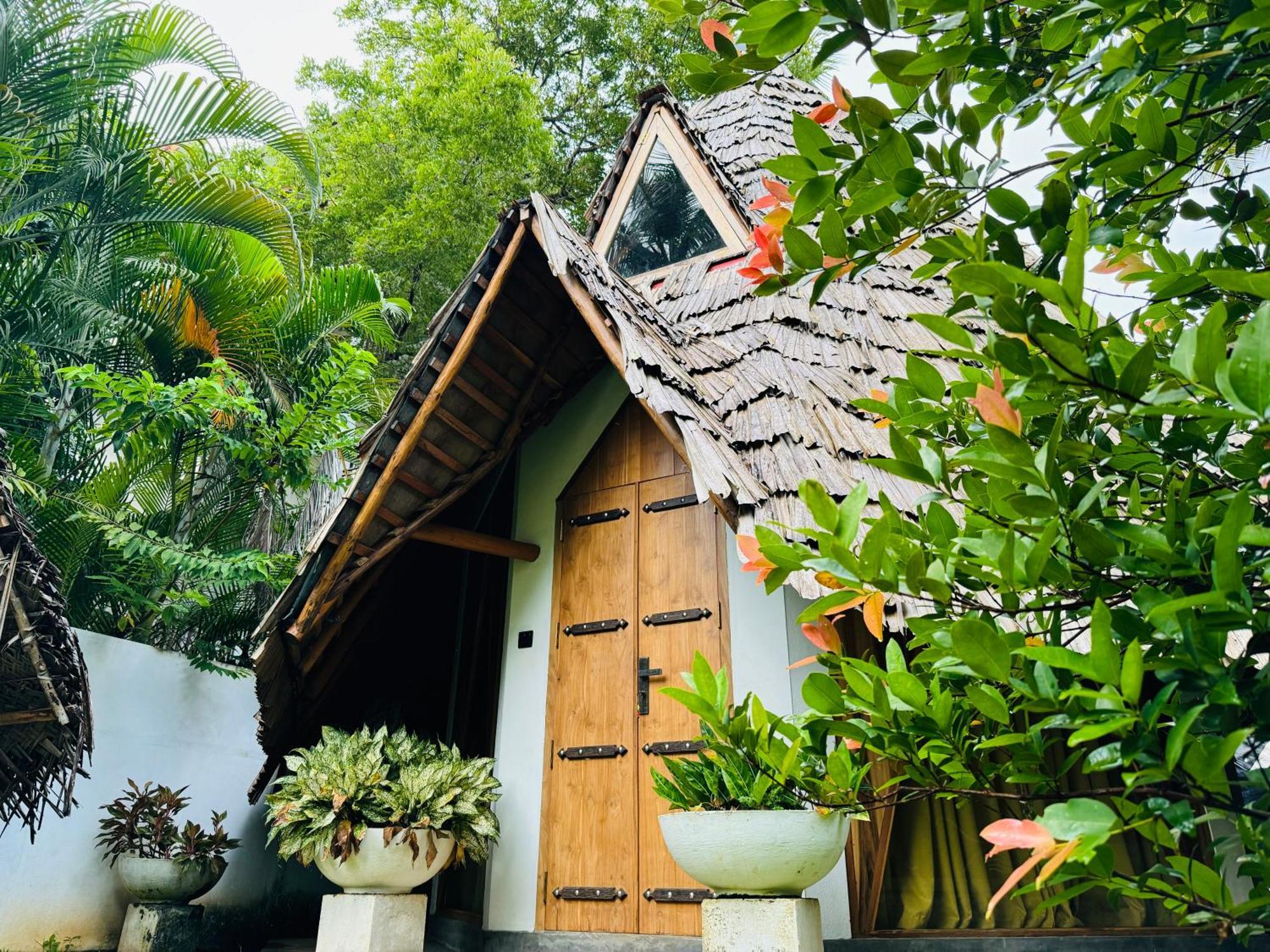 טנגלה Turtle Wood Cabin מראה חיצוני תמונה