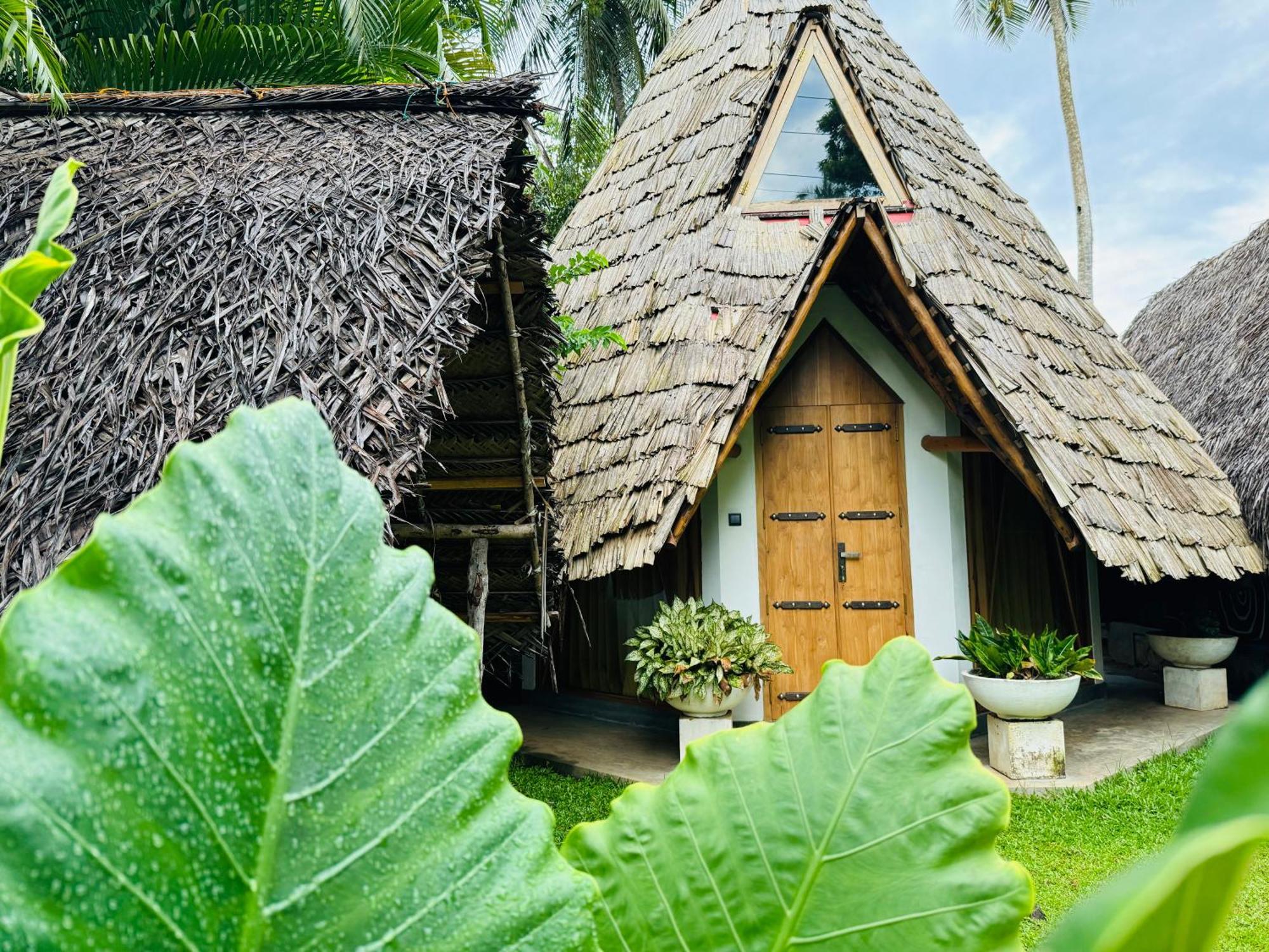 טנגלה Turtle Wood Cabin מראה חיצוני תמונה