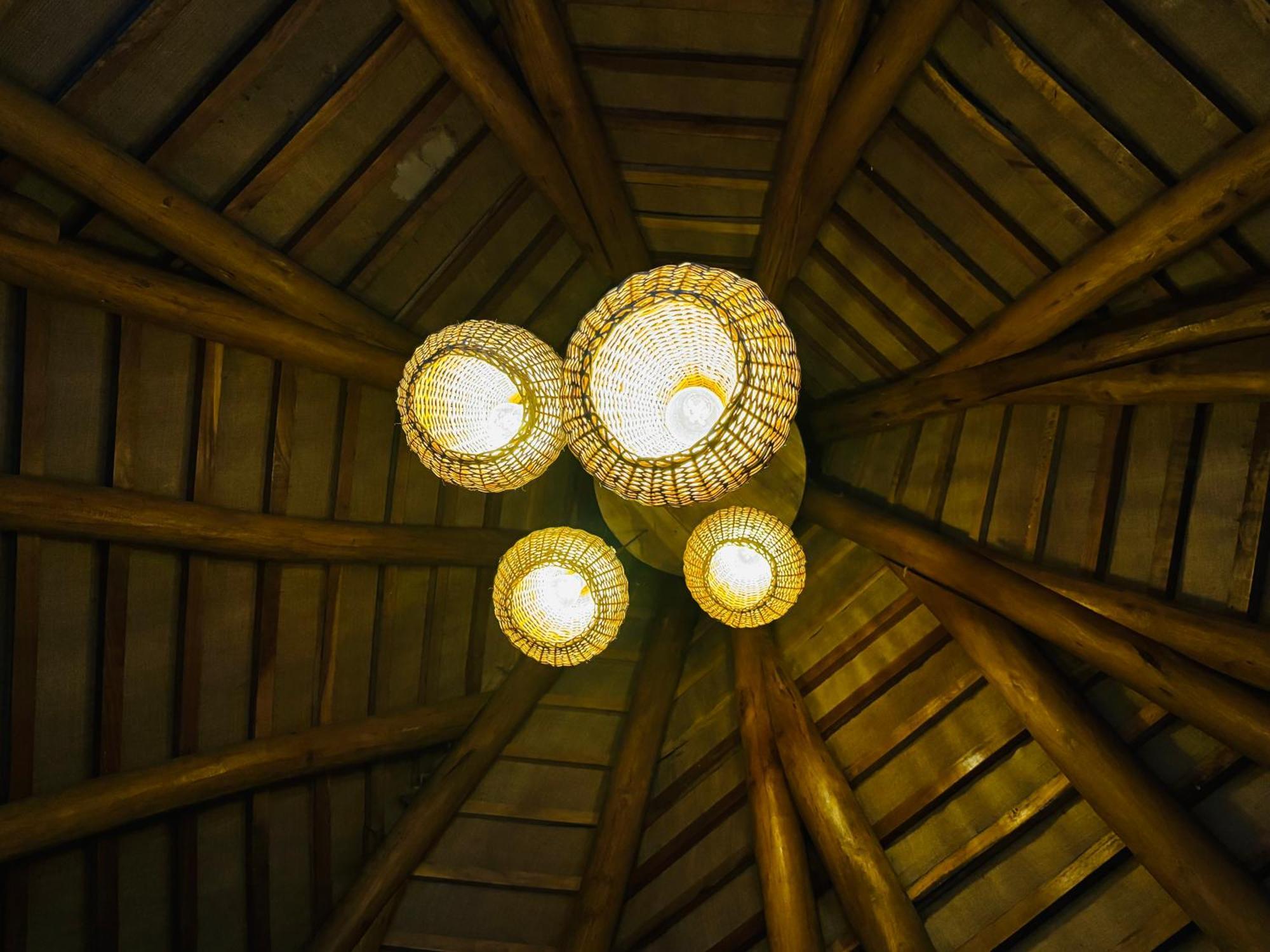 טנגלה Turtle Wood Cabin מראה חיצוני תמונה
