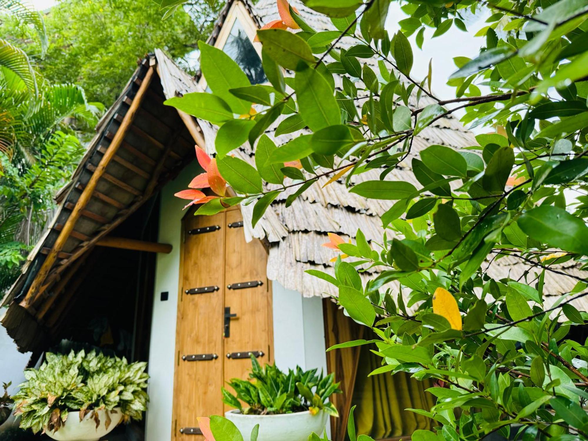 טנגלה Turtle Wood Cabin מראה חיצוני תמונה