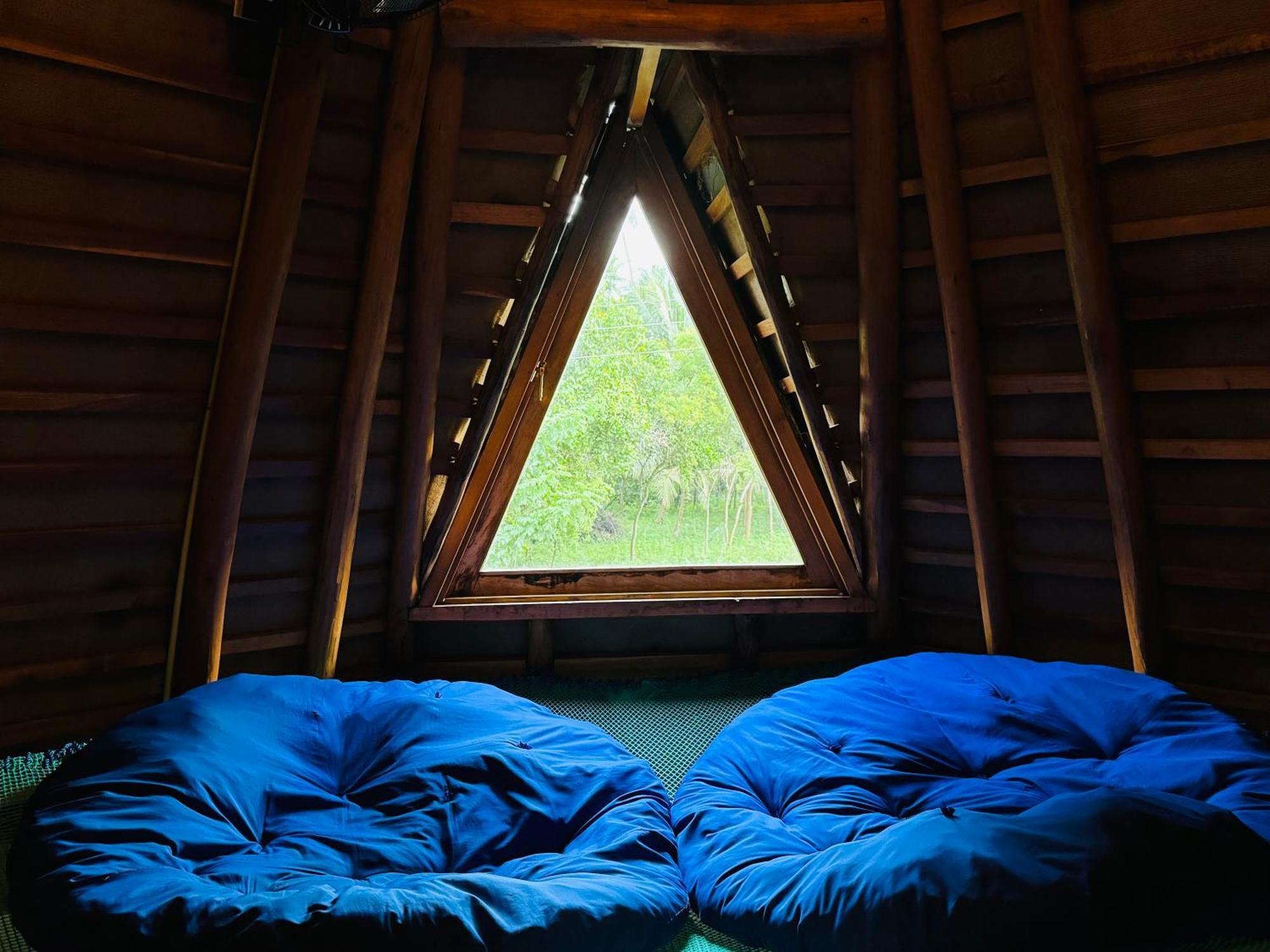 טנגלה Turtle Wood Cabin מראה חיצוני תמונה