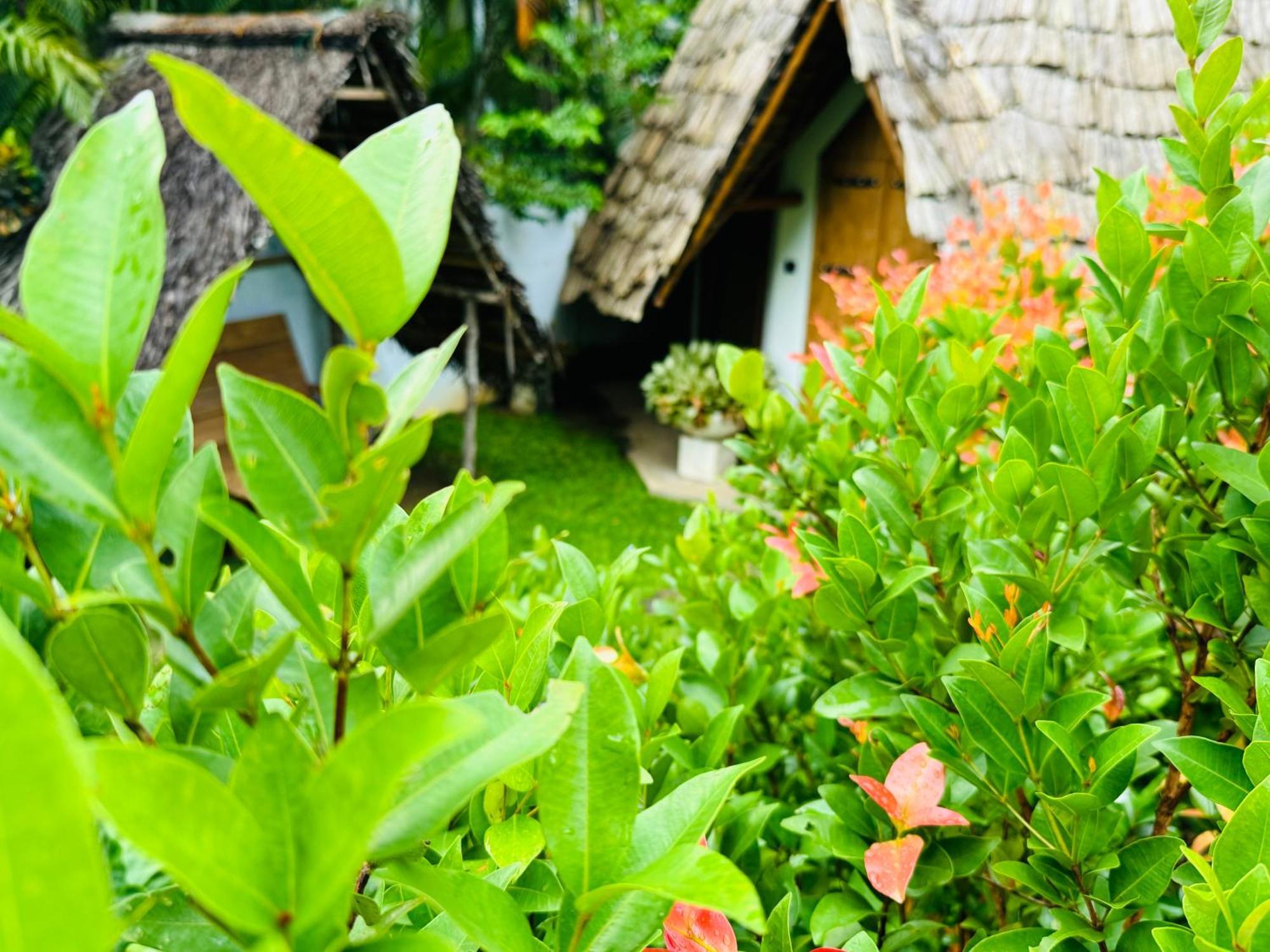 טנגלה Turtle Wood Cabin מראה חיצוני תמונה